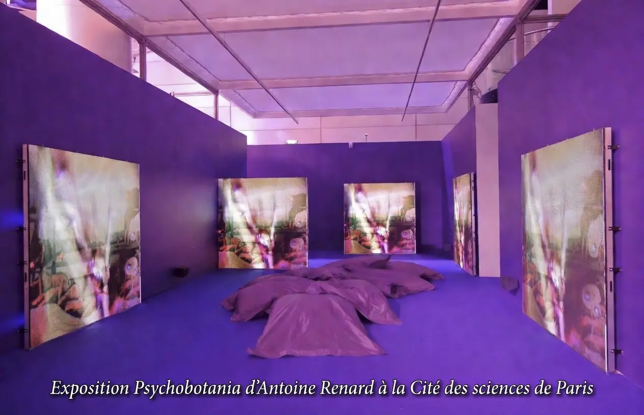 Cité des Sciences – Écran LED Pro